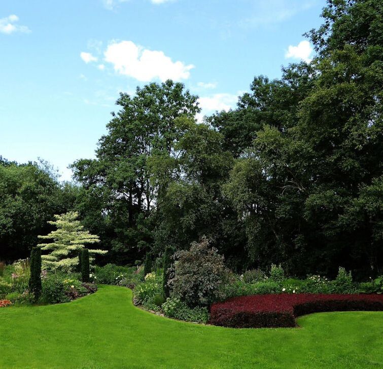 Vibrant green garden surrounded by trees